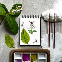 My project for course: Botanical Watercolor: Illustrate the Anatomy of Flowers. Un progetto di Illustrazione tradizionale, Belle arti, Pittura, Disegno, Pittura ad acquerello e Illustrazione botanica di Tanya Meschcerina - 12.09.2023