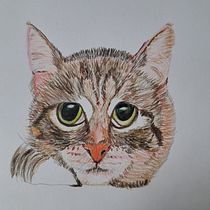 My project for course: Pet Portraits in Colored Pencils. Traditional illustration, and Naturalistic Illustration project by lamportm284 - 09.17.2023