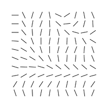 My project for course: Creative Coding: Making Visuals with JavaScript. Motion Graphics, Programação , Multimídia, e JavaScript projeto de Miguel Divo - 19.09.2023
