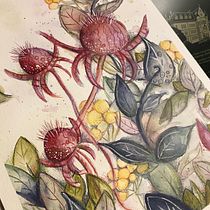 Mein Abschlussprojekt für den Kurs: Blumenkompositionen mit Aquarell: Verbinde dich mit der Natur. Ilustração tradicional, Pintura, Pintura em aquarela e Ilustração botânica projeto de karinhoffmeister - 22.09.2023