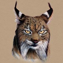 Mi proyecto del curso: Ilustración naturalista de animales con Procreate Ein Projekt aus dem Bereich Traditionelle Illustration, Digitale Illustration, Realistische Zeichnung und Naturalistische Illustration von Tania Gascón Cañaveras - 22.09.2023