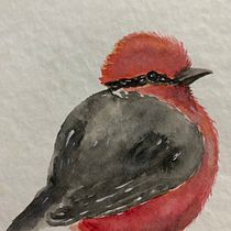 Meu projeto do curso: Técnicas expressivas de aquarela para ilustração de pássaros. Traditional illustration, Watercolor Painting, Realistic Drawing, and Naturalistic Illustration project by Cristina Lima - 09.23.2023
