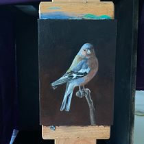 My project for course: Classical Oil Painting for Naturalist Bird Portraiture. Fine Arts, Painting, Oil Painting, and Naturalistic Illustration project by ableitung_misc - 09.24.2023
