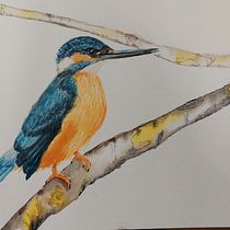 Mein Abschlussprojekt für den Kurs: Naturillustration: Farbige und monochrome Aquarelle. Traditional illustration, Fine Arts, Painting, Drawing, Watercolor Painting, Botanical Illustration, and Naturalistic Illustration project by a. kai. - 09.24.2023