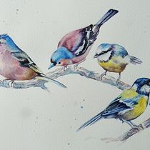My project for course: Artistic Watercolor Techniques for Illustrating Birds. Traditional illustration, Watercolor Painting, Realistic Drawing, and Naturalistic Illustration project by Fiona Redmond - 09.24.2023