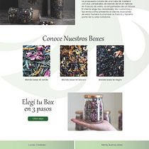 Mi proyecto del curso: Diseño UX UI para landing pages: cuenta una historia única. Un progetto di UX / UI e Web design di ce_v - 22.09.2023