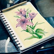 My project for course: Illustrating Nature with Watercolor and Pen. Traditional illustration, Fine Arts, Painting, Drawing, Watercolor Painting, and Botanical Illustration project by Mika Omokoko - 09.27.2023