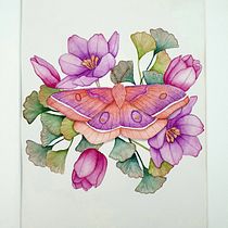 My project for course: Naturalist Illustrations with Watercolors: Drawing and Composition. Traditional illustration, Drawing, Watercolor Painting, and Naturalistic Illustration project by Diyana - 09.28.2023