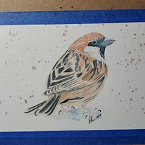 Mi proyecto del curso: Ilustración naturalista de aves con acuarela. Ilustração tradicional, Pintura em aquarela, Desenho realista e Ilustração naturalista projeto de senoritalinda21 - 27.09.2023