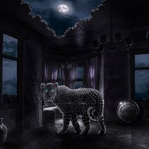 Mi proyecto del curso: Secretos del fotomontaje y el retoque creativo. Photograph, Photograph, Post-production, VFX, Photo Retouching, Fine-Art Photograph, Photographic Composition, and Photomontage project by David Cardenas - 09.28.2023