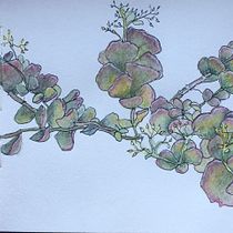  Sketch botanico-meditativo Ein Projekt aus dem Bereich Traditionelle Illustration, Skizzenentwurf, Zeichnung, Aquarellmalerei, Botanische Illustration und Sketchbook von lusi - 29.09.2023