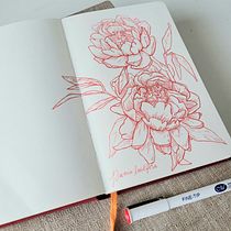 My project for course: Botanical Sketchbooking: A Meditative Approach Ein Projekt aus dem Bereich Traditionelle Illustration, Skizzenentwurf, Zeichnung, Aquarellmalerei, Botanische Illustration und Sketchbook von Dawn Toussaint - 29.09.2023