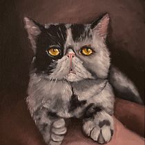 Mi proyecto del curso: Retrato realista de mascotas con pintura al óleo, Retrato de un gato de raza exótica. Artes plásticas, Pintura, Pintura a óleo e Ilustração naturalista projeto de Isabel Troyo - 30.09.2023