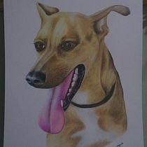 Meu projeto do curso: Retratos de pets a lápis de cor. Traditional illustration, and Naturalistic Illustration project by Núbia Regina B. de Souza - 09.24.2023