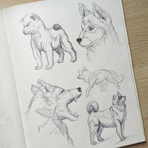 My project for course: Daily Sketching for Creative Inspiration. Traditional illustration, Sketching, Creativit, Drawing, and Sketchbook project by Amandine Bertrand - 10.01.2023