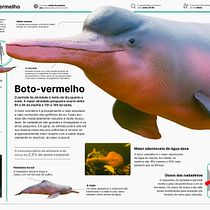 Meu projeto do curso: Crie um infográfico que fará história Ein Projekt aus dem Bereich Informationsdesign, Bildbearbeitung, Skulptur, Infografik und Zeichnung von Deyverson Silva - 03.10.2023