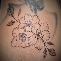 Il mio progetto del corso: Tatuaggio fine line: la leggerezza delle linee. Un projet de Illustration traditionnelle, Dessin , et Conception de tatouage de Sonia - 03.10.2023