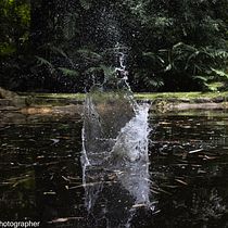 Mi proyecto del curso: Fotografía documental . Un progetto di Fotografia, Postproduzione fotografica, Fotografia con smartphone, Fotografia digitale, Fotografia all'aperto e Fotografia documentaria di Vannia Gozzer Sánchez - 03.10.2023