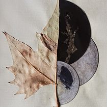 Il mio progetto del corso: Creazione di collage con elementi botanici Ein Projekt aus dem Bereich Collage und Botanische Illustration von Federica Orsenigo - 02.10.2023