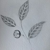 Mon projet du cours : Illustration botanique à l’aquarelle. Traditional illustration, Fine Arts, Painting, Drawing, Watercolor Painting, and Botanical Illustration project by Trysken Van Crombrugge - 10.05.2023