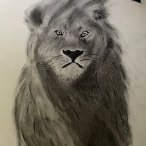Mijn project van de cursus: Leer dieren illustreren met houtskool en inkt. Fine Arts, Drawing, Naturalistic Illustration, and Traditional illustration project by Susan - 10.05.2023