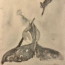 My project for course: Naturalist Illustration Techniques: Whales in Watercolor. Un progetto di Belle arti, Pittura, Pittura ad acquerello e Illustrazione naturalistica di Susanne Taudte - 06.10.2023
