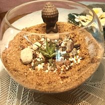 My project for course: Plant Art: Create Your Own Open Terrarium . Interior Design, Floral, and Plant Design project by rutuja_phalak22 - 10.05.2023