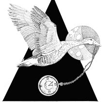 My project for course: Realistic Illustration of Birds with Imaginative Elements. Pencil Drawing, Drawing, Ink Illustration, and Naturalistic Illustration project by eluned_eleven - 10.06.2023