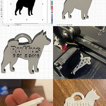 Proyecto Final: Placa para perro. 3D, Industrial Design, Product Design, 3D Modeling, and 3D Design project by Yoallan Muro - 01.10.2024
