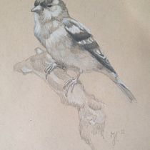 First Part: the sketch . Fine Arts, Painting, Oil Painting, and Naturalistic Illustration project by Ines Hinz - 10.07.2023