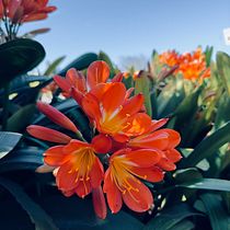 Mi proyecto del curso: Fotografía profesional para Instagram. Advertising, Photograph, Marketing, Social Media, Mobile Photograph, Product Photograph, Mobile Marketing, Instagram, Instagram Photograph, Lifest, and le Photograph project by Delfina Perez - 10.07.2023