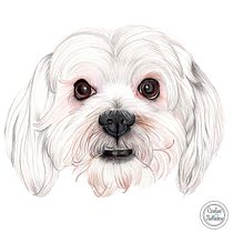 Mi proyecto del curso: Retratos de Mascotas en Lápices de Colores. Traditional illustration, and Naturalistic Illustration project by Carolina Apolaya Csirke - 10.09.2023