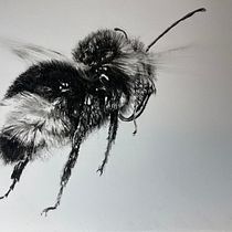My project for course: Illustrating the Natural World with Watercolor and Charcoal. Traditional illustration, Painting, and Naturalistic Illustration project by zoe_36 - 10.10.2023