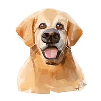 Mein Abschlussprojekt für den Kurs: Karikaturen zeichnen mit Infinite Painter. Un projet de Illustration traditionnelle et Illustration numérique de marlene.fischer - 10.10.2023