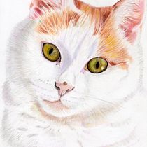 My project for course: Pet Portraits in Colored Pencils. Traditional illustration, and Naturalistic Illustration project by Denise DESENEPART - 10.10.2023