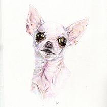 Mi proyecto del curso: Retratos de Mascotas en Lápices de Colores. Traditional illustration, and Naturalistic Illustration project by tln_prats - 10.10.2023