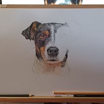 Mi proyecto del curso: Retratos de Mascotas en Lápices de Colores. Ilustração tradicional e Ilustração naturalista projeto de Nines López Ballester - 10.10.2023