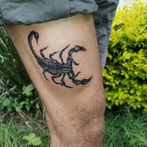 Mi proyecto del curso: Técnicas de tatuaje blackwork con línea fina. Design project by guseliz18 - 10.09.2023