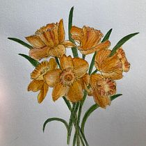 daffodils . Traditional illustration, Fine Arts, Painting, Drawing, Watercolor Painting, and Botanical Illustration project by n100eva - 10.12.2023