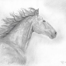 Mein Abschlussprojekt für den Kurs: Realistische Tierbilder in Graphitstift. Un projet de Beaux Arts, Dessin au cra, on, Dessin, Dessin réaliste et Illustration naturaliste de ronja.dabronz - 12.10.2023