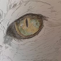 My project for course: Pet Portraits in Colored Pencils. Traditional illustration, and Naturalistic Illustration project by Christine Moore - 10.13.2023