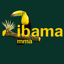 REDESIGN IBAMA - Projeto Pessoal. Een project van  Ontwerp,  Art direction, Grafisch ontwerp,  Creativiteit y Portfoliobeheer van Icaro Soriano - 27.09.2023