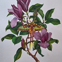 Mi proyecto del curso: Ilustración naturalista con gouache y acuarela. Fine Arts, Painting, Watercolor Painting, Botanical Illustration, Naturalistic Illustration, and Gouache Painting project by Martha Ortiz - 10.15.2023