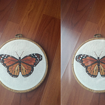 Il mio progetto del corso: Tecniche di ricamo realistico. Traditional illustration, Embroider, and Textile Design project by Chiara Di Iorio - 10.16.2023