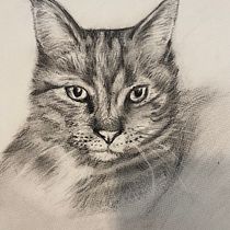 Mijn project van de cursus: Realistische dierenafbeeldingen in grafietpotlood. Fine Arts, Pencil Drawing, Drawing, Realistic Drawing, and Naturalistic Illustration project by Lise - 10.17.2023