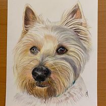 Mi proyecto del curso: Retratos de Mascotas en Lápices de Colores. Traditional illustration, and Naturalistic Illustration project by Milagros Rios Depaz - 10.17.2023
