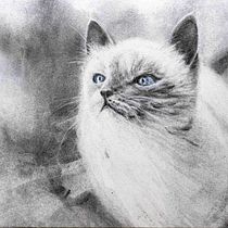My project for course: Expressive Drawing with Charcoal. Fine Arts, Drawing, Portrait Drawing, and Naturalistic Illustration project by Zuzana Zachová - 10.19.2023