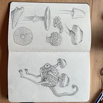 Mijn project van de cursus: Creëer een schetsboek met fantasiewezens geïnspireerd op de natuur. Pencil Drawing, Drawing, Watercolor Painting, Sketchbook, and Naturalistic Illustration project by nanettegoedemans - 10.19.2023