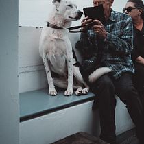 Final project: Man with dog on the boat. . Un projet de Photographie, Photographie de portrait, Photographie pour Instagram, Photographie documentaire, Photographie lifest , et le de Dawid Dobosz - 17.10.2023