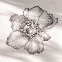 My project for course: Sketchbook Illustration with Pen: Embracing Mistakes. Esboçado, Desenho, Sketchbook e Ilustração com tinta projeto de art.notabena - 19.10.2023